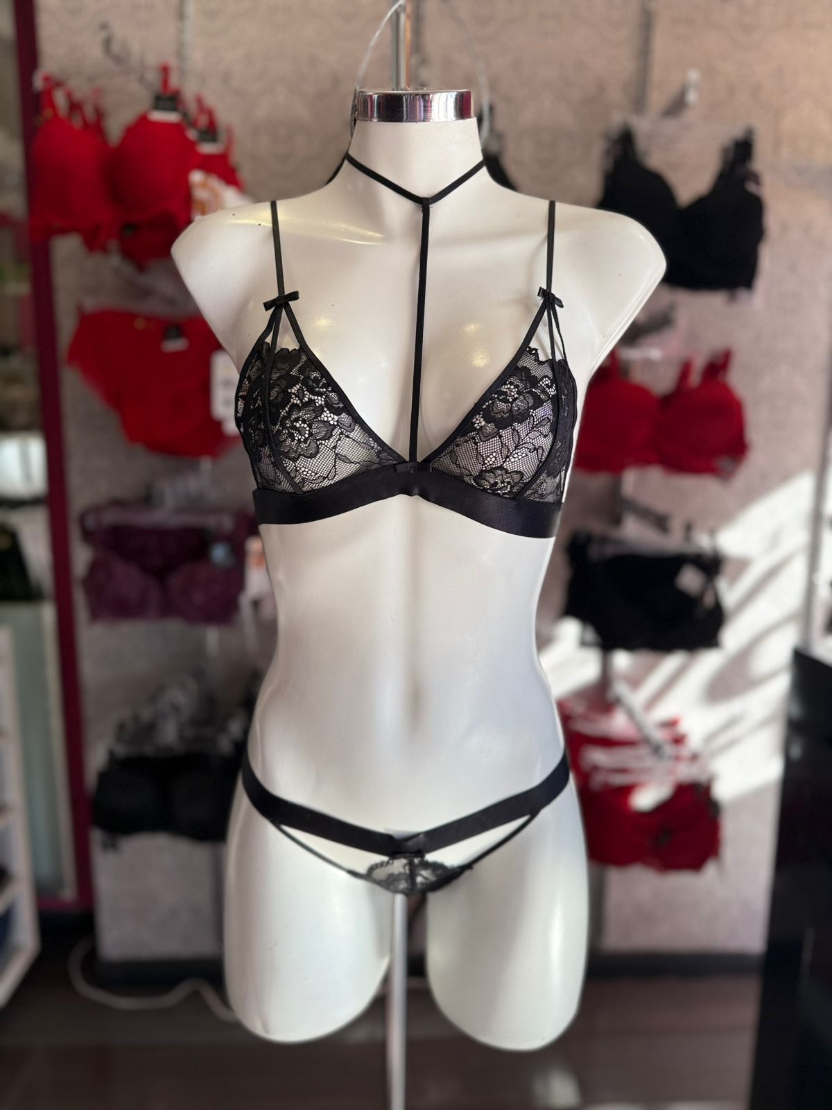 532132 arnes set halter